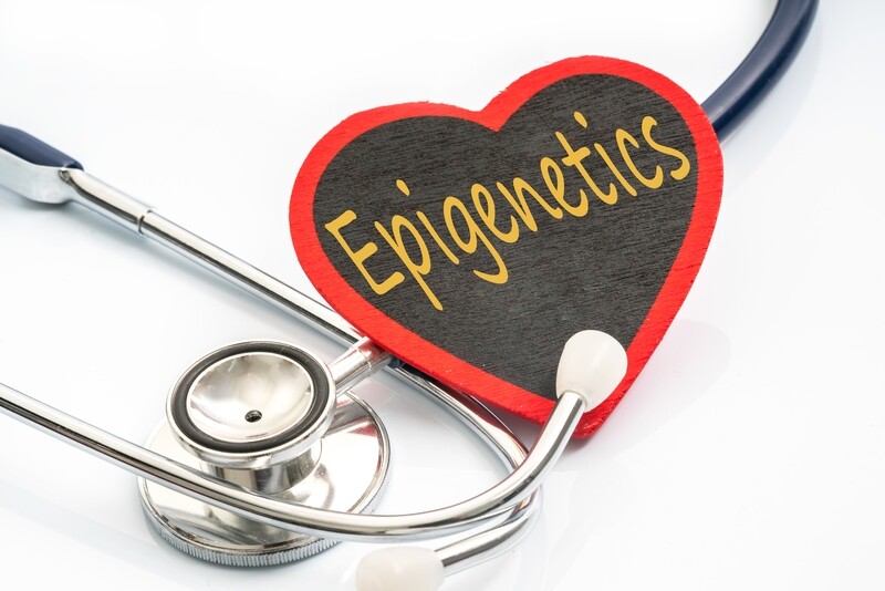 Genetics and Epigenetics of Common Chronic Illnesses in Humans