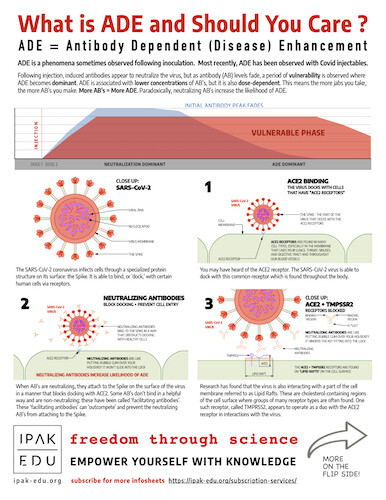 Antibody Dependent Enhancement - Why Does it Matter?