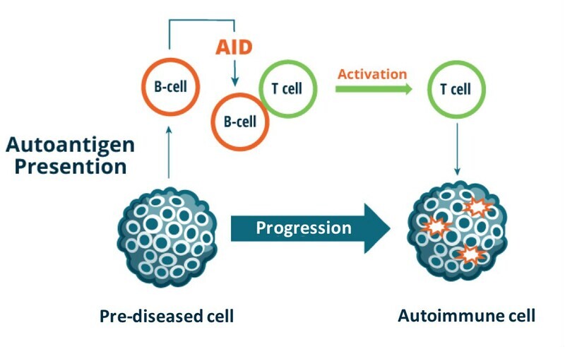 Autoimmunity and Human Health