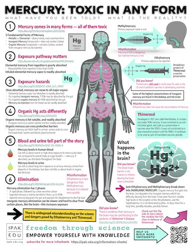 Mercury Information Sheet
