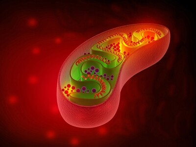 Mitochondria and Human Health Part 1