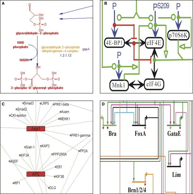 Systems Biology and Human Health