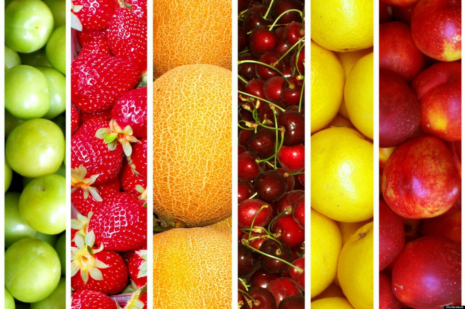 Bio 201 - The Biology of Nutrition