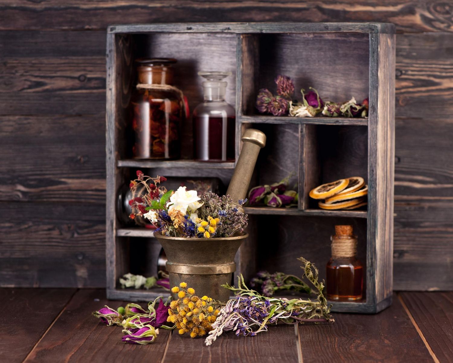 The Living Apothecary: Garden-Based Herbalism &amp; Clinical Application