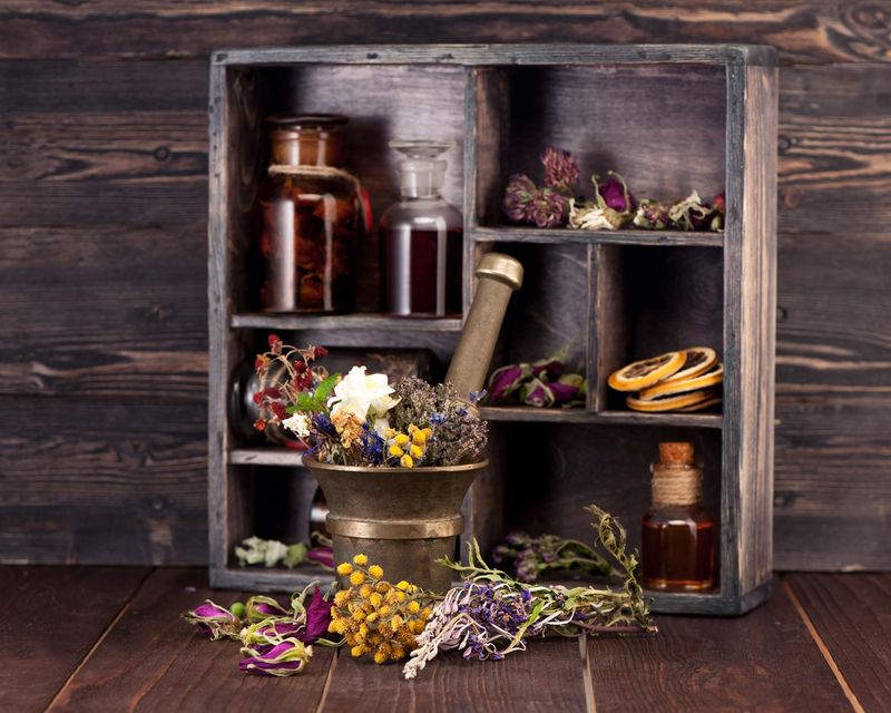The Living Apothecary: Garden-Based Herbalism &amp; Clinical Application