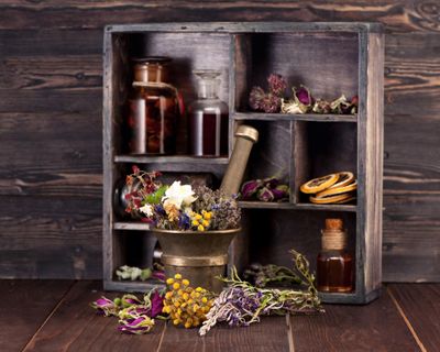 The Living Apothecary: Garden-Based Herbalism &amp; Clinical Application