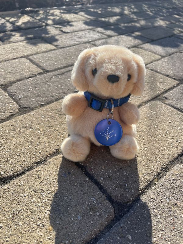 Tucker the F.A.I.T.H.ful Dog