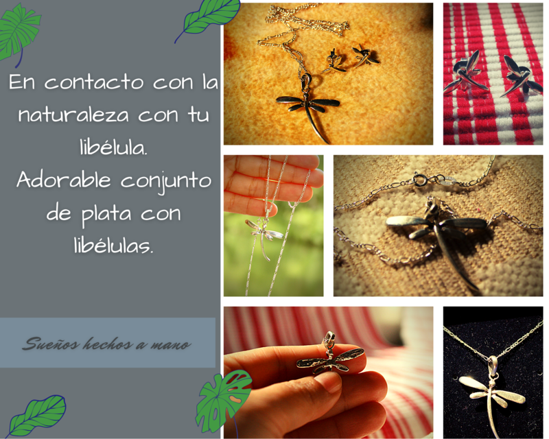 Set de Libelula