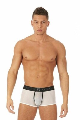 Gregg Homme Boxer Torridz Sous-vêtements transparents Blanc