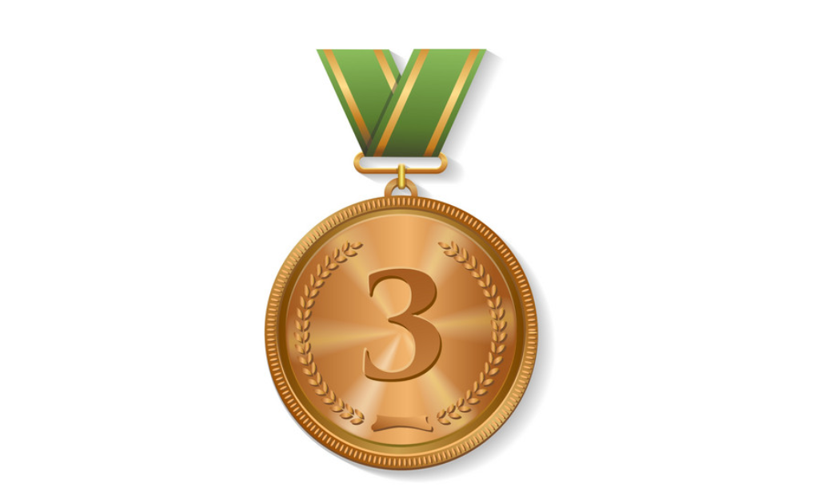 Life long recognition - Bronze