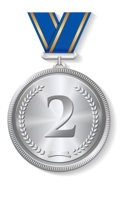 Life long recognition - Silver