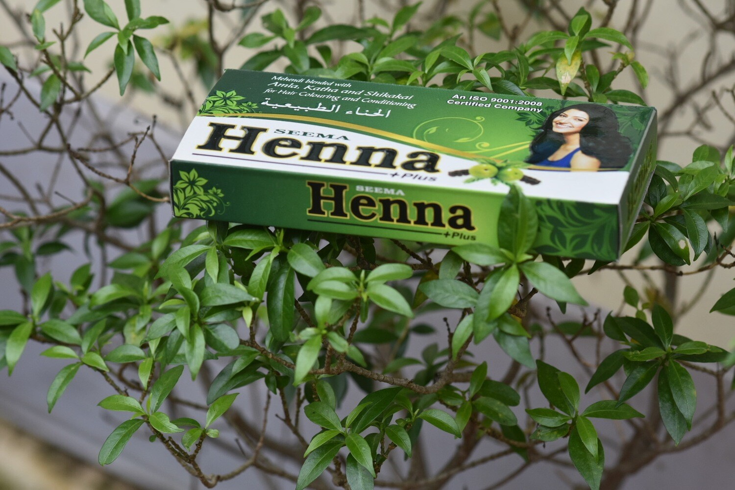 Seema Henna pluse