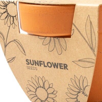 MACETA GIRASOL