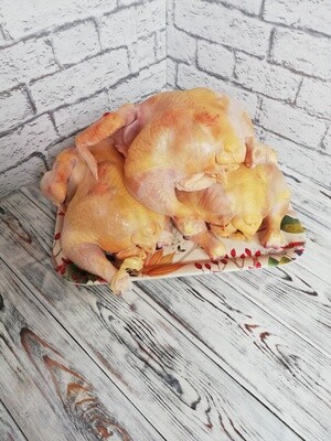 Бройлерные цыплята, отборная домашняя курятина, стоимость за 1 кг.