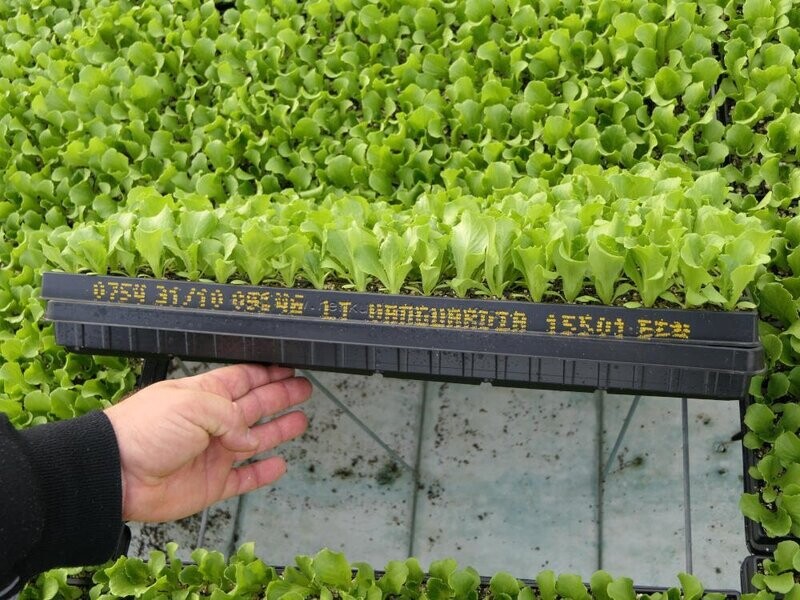 Undertray 330 x 517 x 20mm