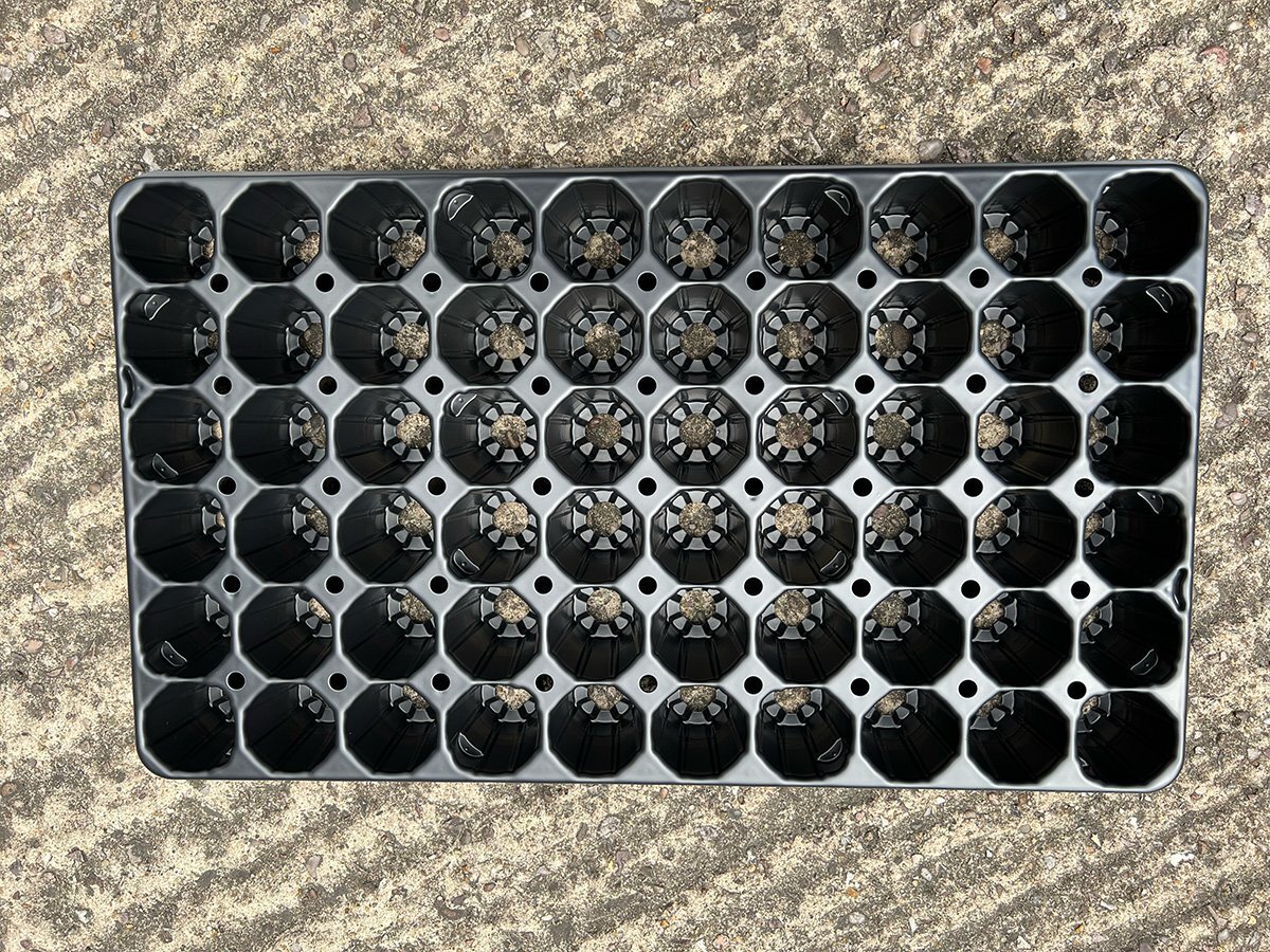 Seed Trays & Propagation Trays (60 Pots)