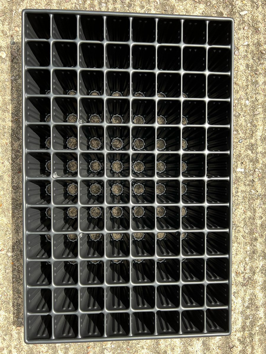 Seed Trays & Propagation Trays (96 Pots)