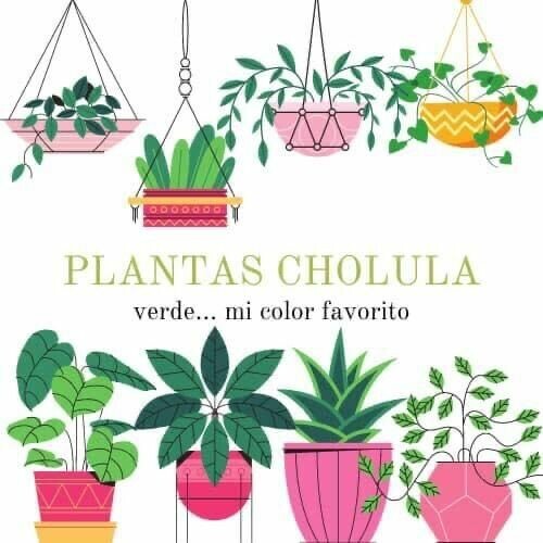 Plantas Cholula