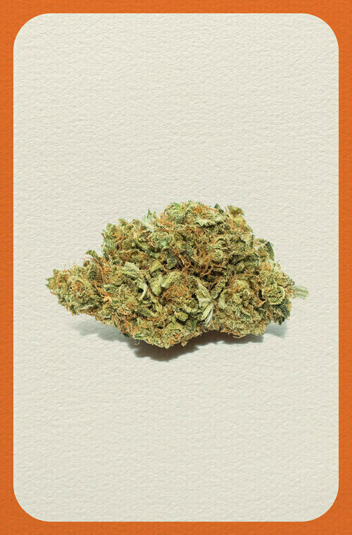 Hemp Flower Hemp Flower