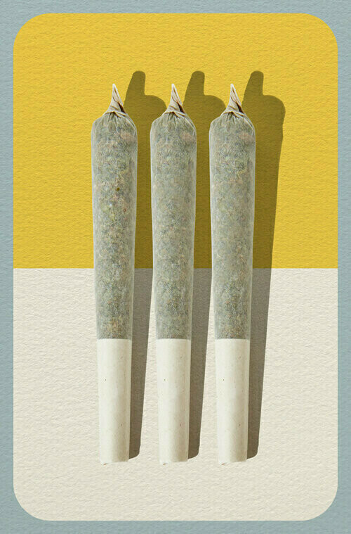 Hemp Pre-Rolls Hemp Pre-Rolls