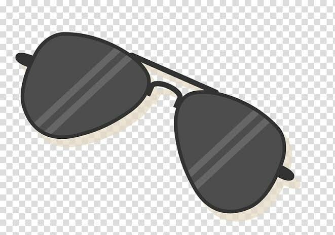 Sunglasses