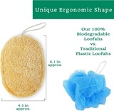 iShilp Sun Dried Natural Bath Loofah pack of 2