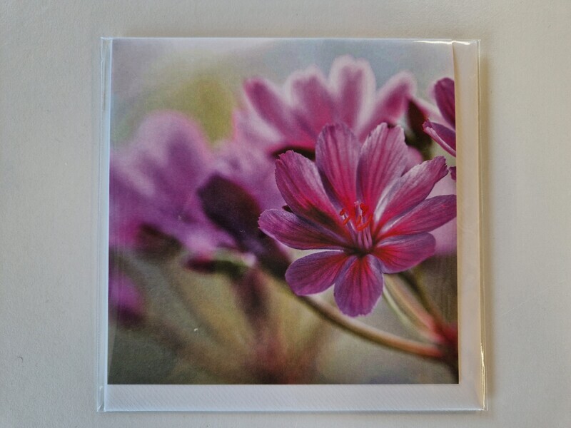 Doppelkarte Blume Violett