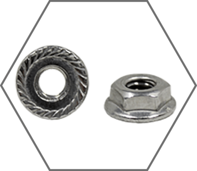 Grade 18-8 Stainless Steel Serrated Hex Flange Nuts