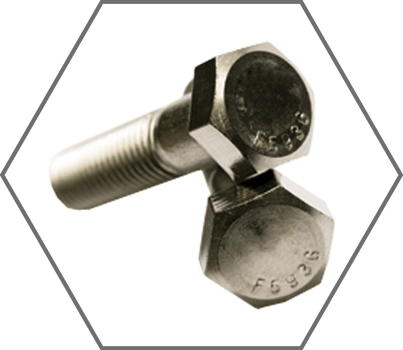 1/4"-20  x 3/4" Grade 316 Stainless Steel Hex Cap Screw