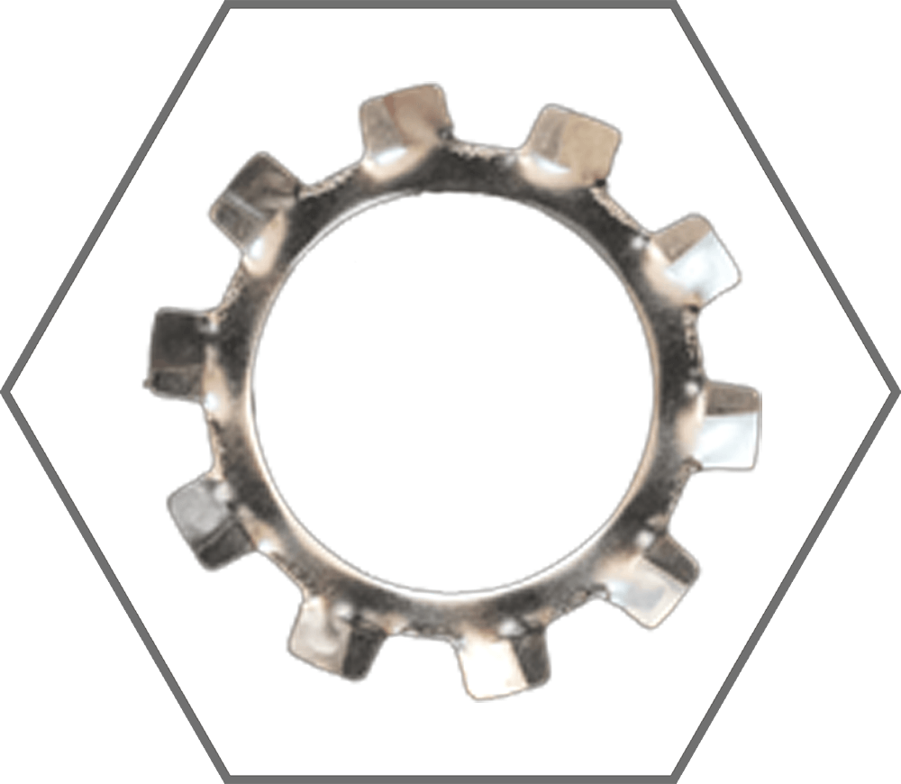1/4" Grade 18-8 Stainless Steel External Tooth Lock Washer