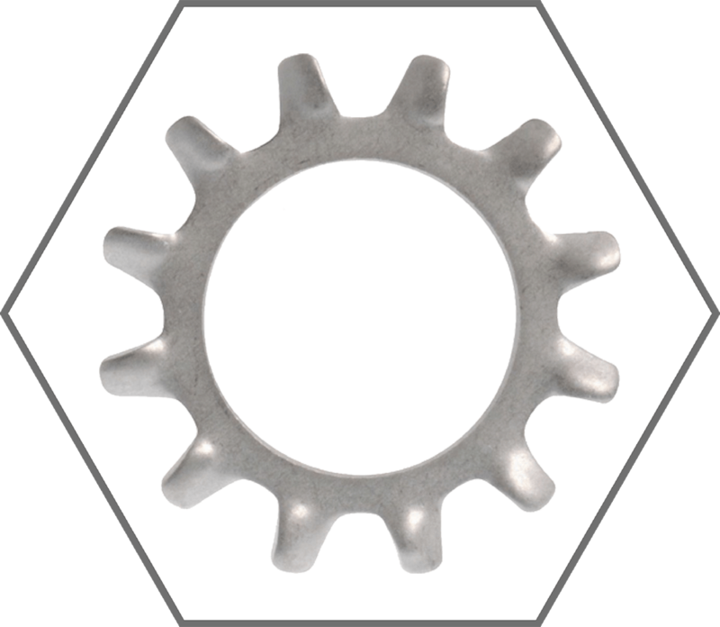 5/16" Zinc Finish External Tooth Lock Washer