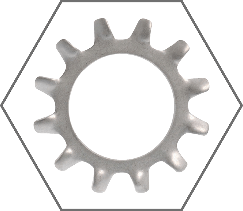#10 Zinc Finish External Tooth Lock Washer