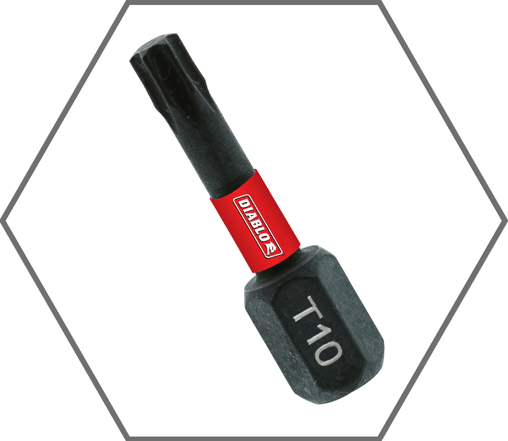 T10 x 1"TorxInsertBit (2-Pack)