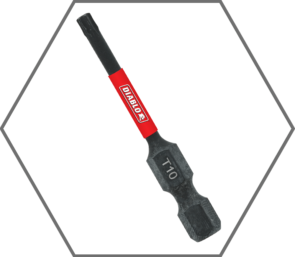 T10x 2" TorxInsertBit