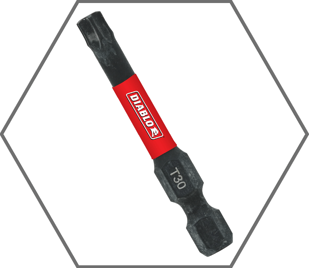 T30 x 2" Torx Insert Bit