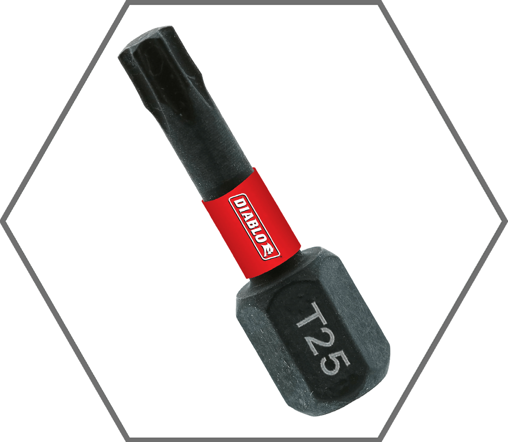 T25 x 1"Torx Insert Bit (5-Pack)