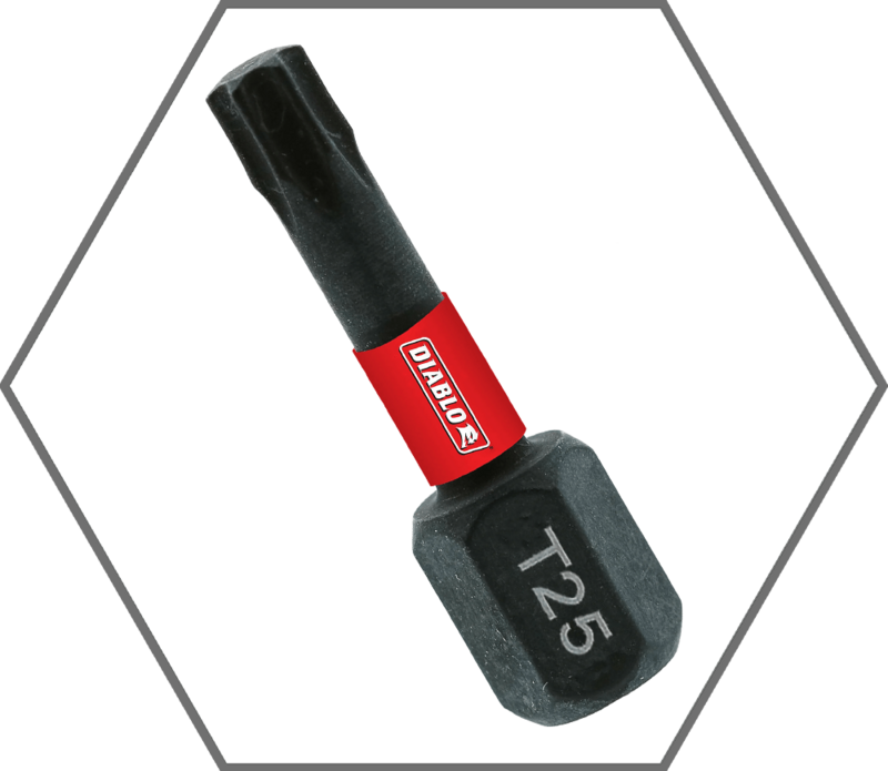 T25 x 1"Torx Insert Bit (5-Pack)