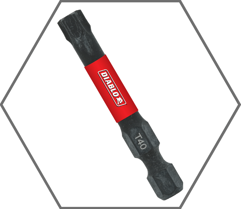 T40 x 2" Torx Insert Bit (5-Pack)