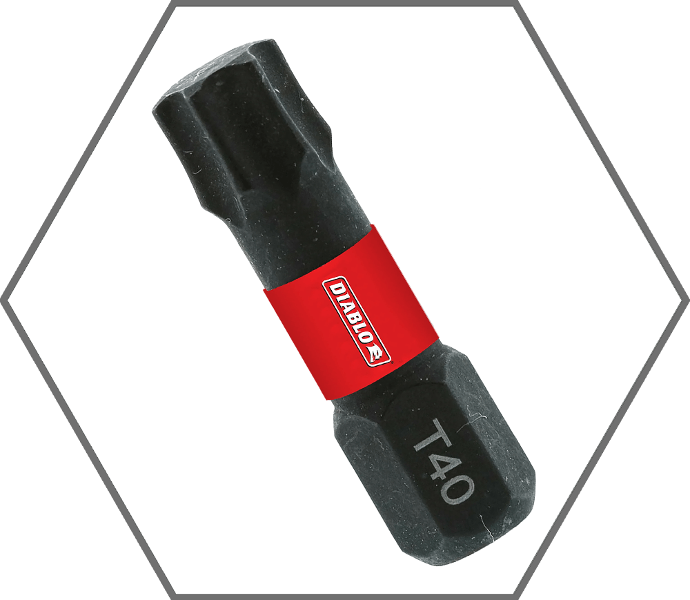 T40 x 1" Torx Insert Bit (5-Pack)