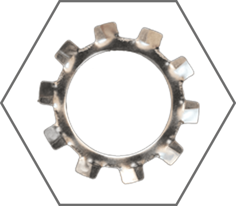 1/4" Grade 18-8 Stainless Steel External Tooth Lock Washer