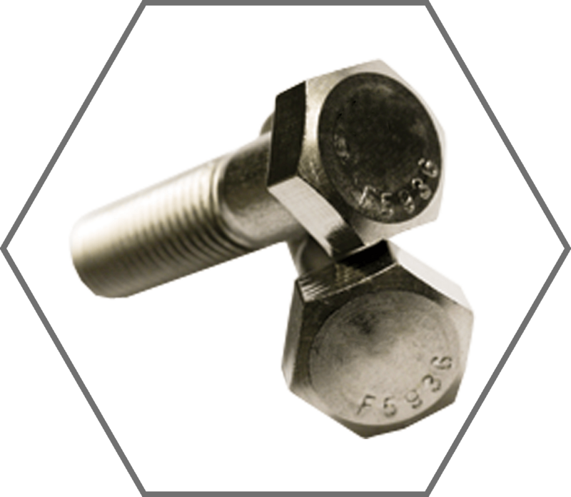 1/4"-20  x 1" Grade 316 Stainless Steel Hex Cap Screw