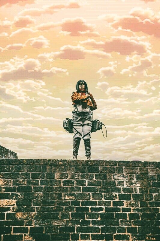 Mikasa - 1