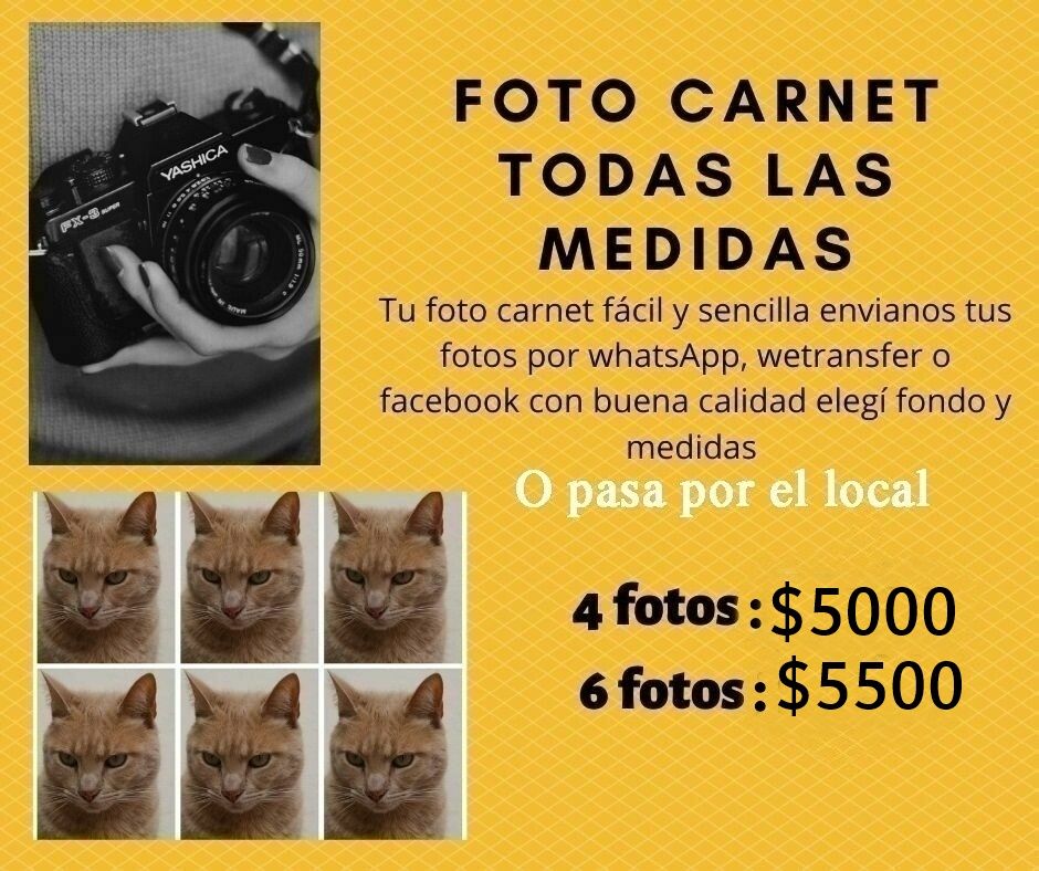 FOTO CARNET