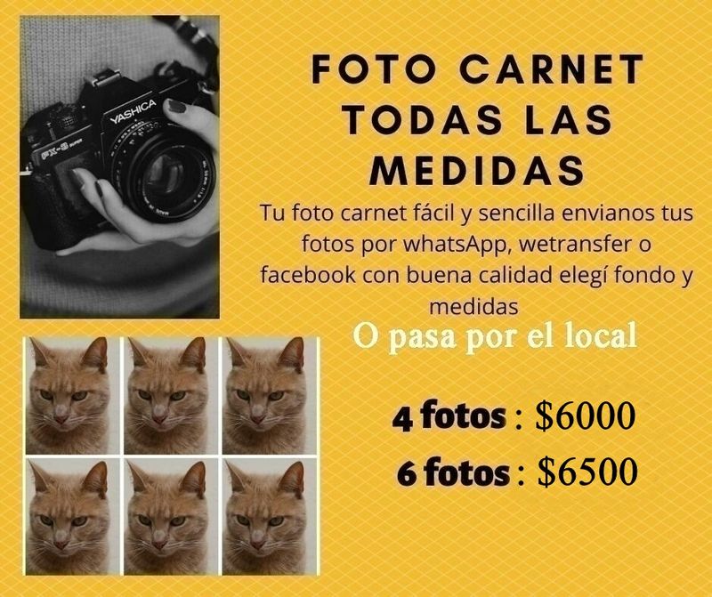 FOTO CARNET