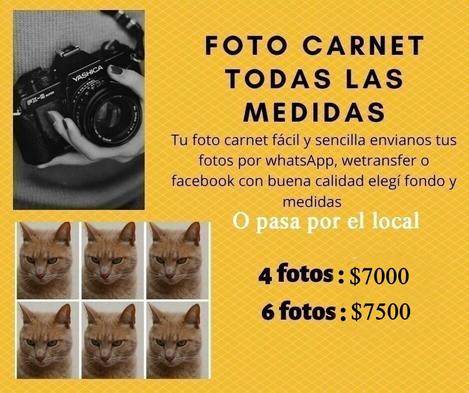 FOTO CARNET
