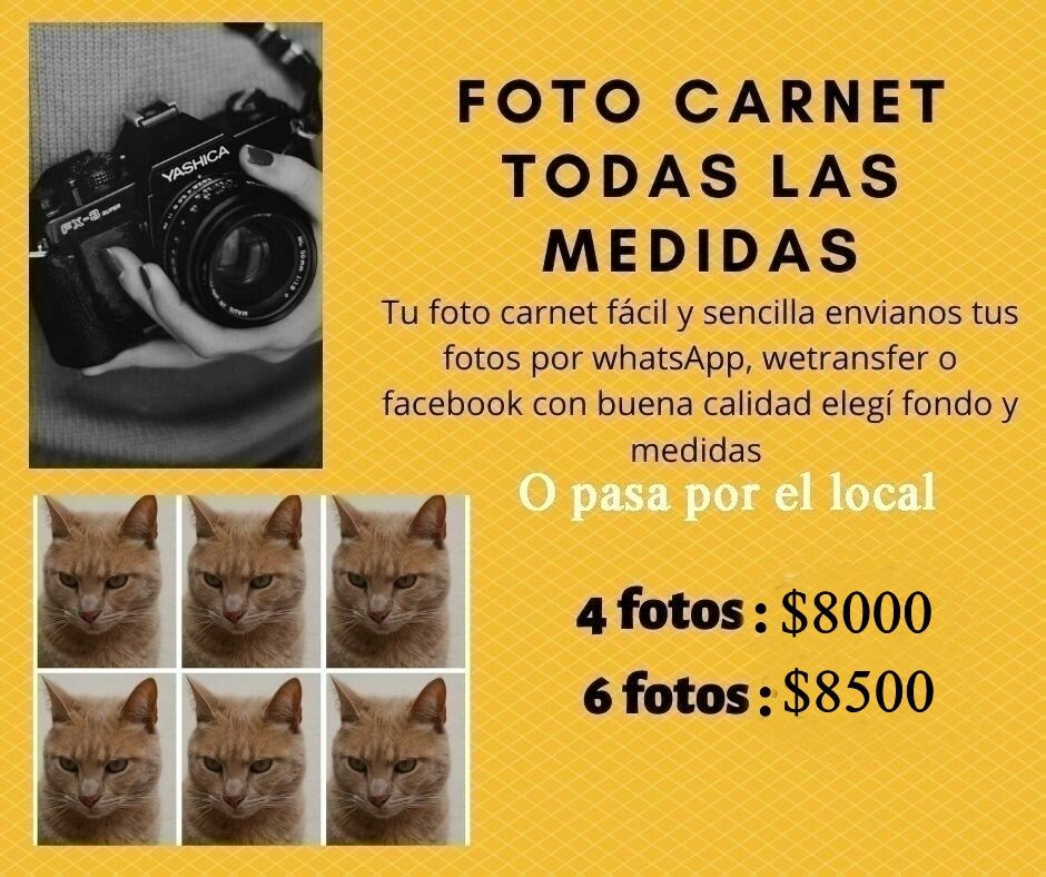 FOTO CARNET