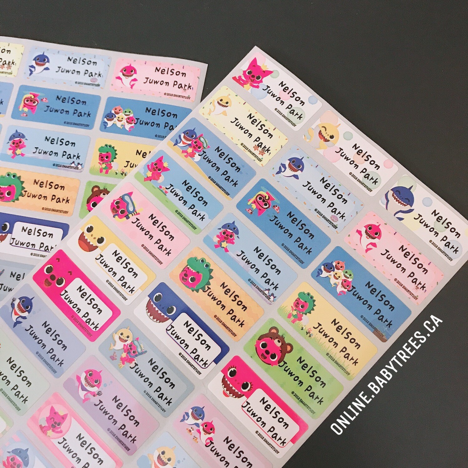 60 Pinkfong Name Sticker