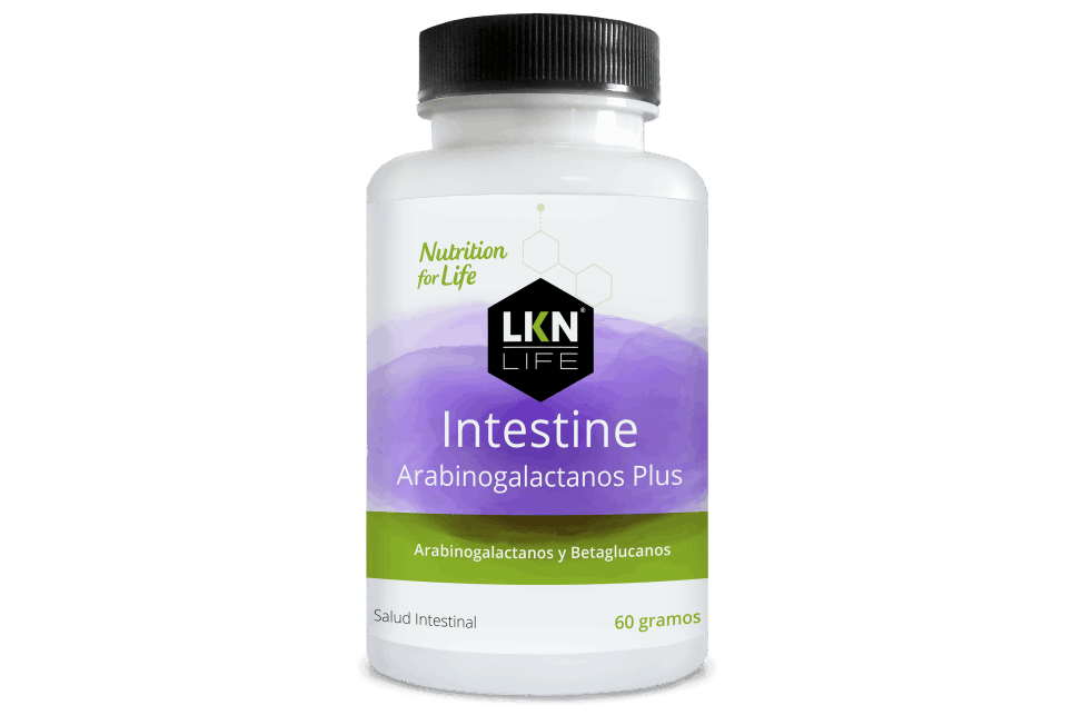 INTESTINE Arabinogalactanos