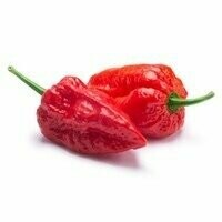 Ghost Pepper with Scorpion Pepper SWEET DIABLO Balsamic Hot Sauce