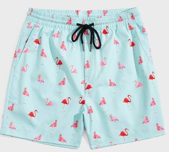 free planet shorts 